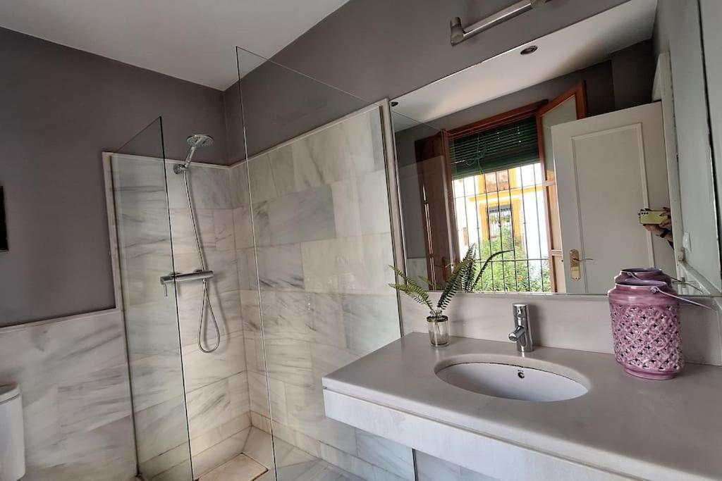 Sc Plaza Santa Cruz Appartement Sevilla